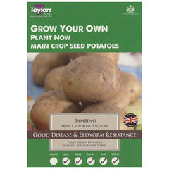 Bambino Main Crop Seed Potatoes (Pack of 10) image 0