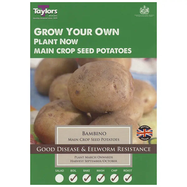 Bambino Main Crop Seed Potatoes (Pack of 10) image 0