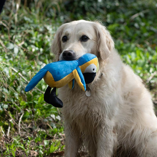 Petface Percy Parrot Plush Dog Toy image 5