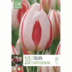 Tulip ‘Happy Generation’ (10 Bulbs) image 0
