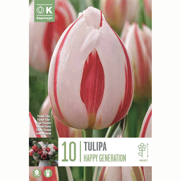 Tulip ‘Happy Generation’ (10 Bulbs) image 0