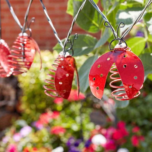 Smart Solar 10 Warm White Ladybird String Lights image 4