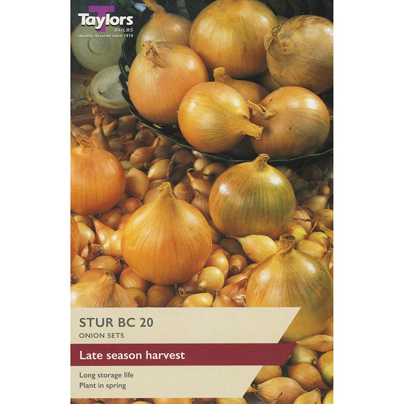 Stur BC 20 Onion Sets (Pack of 50) image 0
