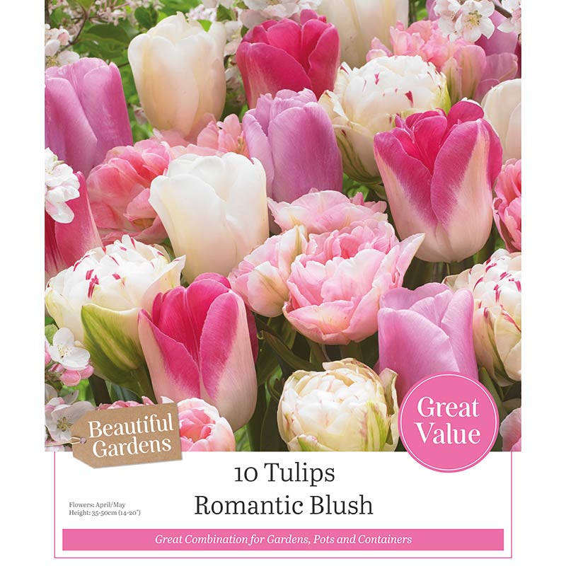 Tulips ‘Romantic Blush’ (10 Bulbs) image 0