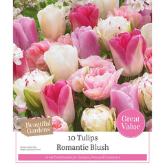 Tulips ‘Romantic Blush’ (10 Bulbs) image 0