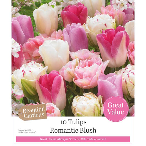 Tulips ‘Romantic Blush’ (10 Bulbs) image 0