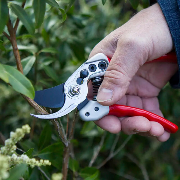 Darlac Expert Small Bypass Pruner image 2