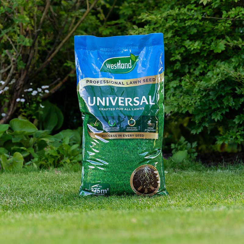 Westland Universal Professional Lawn Seed (9kg Bag) image 0
