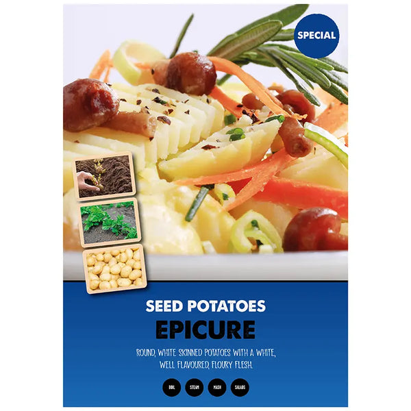Epicure First Early Seed Potatoes image 0