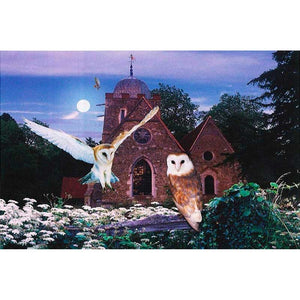 House of Puzzles On Silent Wings 1000 Piece Jigsaw Puzzle image 0