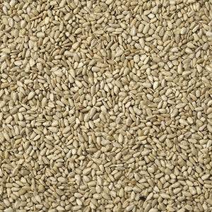 Johnston & Jeff Sunflower Hearts 12.75kg image 1