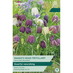 Fritillaria Meleagris Mix (8 Bulbs) image 0