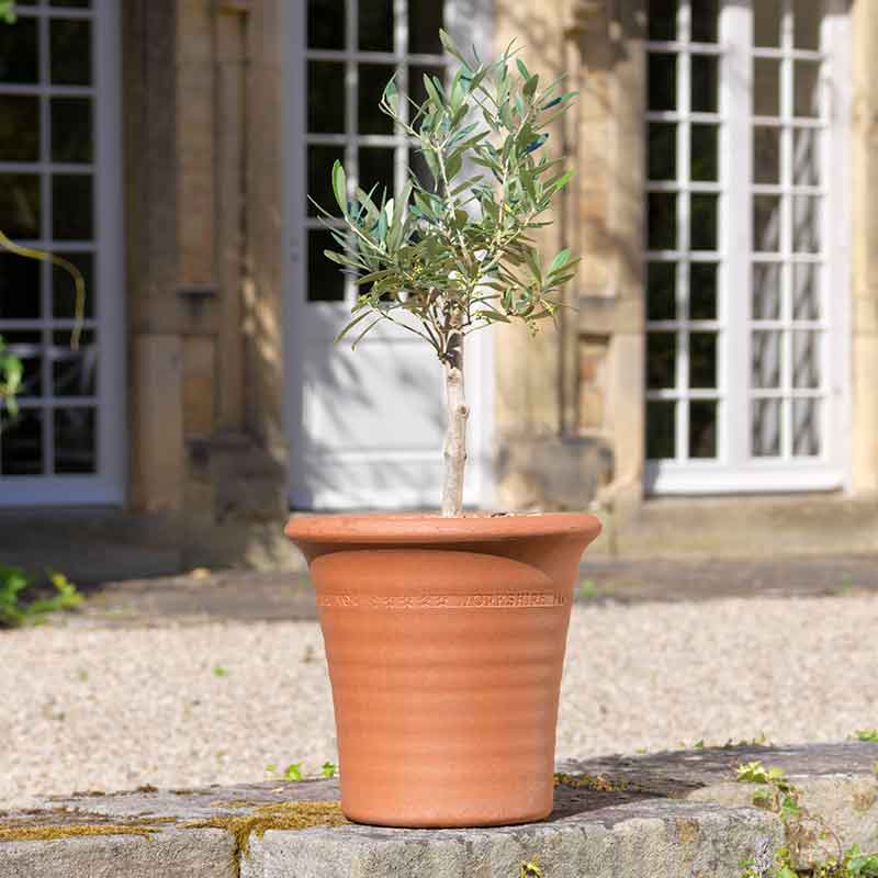Yorkshire Flowerpots Ribbed Flowerpot (Small) image 0