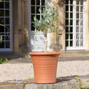 Yorkshire Flowerpots Ribbed Flowerpot (Small) image 0