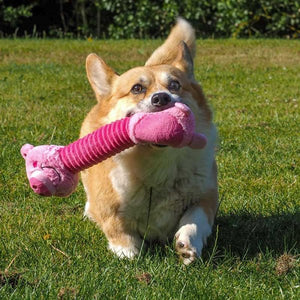 Zoon Necky Pig Dog Toy image 1