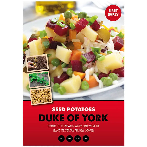 Duke of York First Early Seed Potatoes - 2kg image