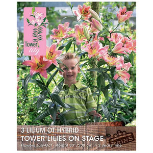 Lilium 'OT-Hybrid Tower Lilies On Stage' Bulbs image 0