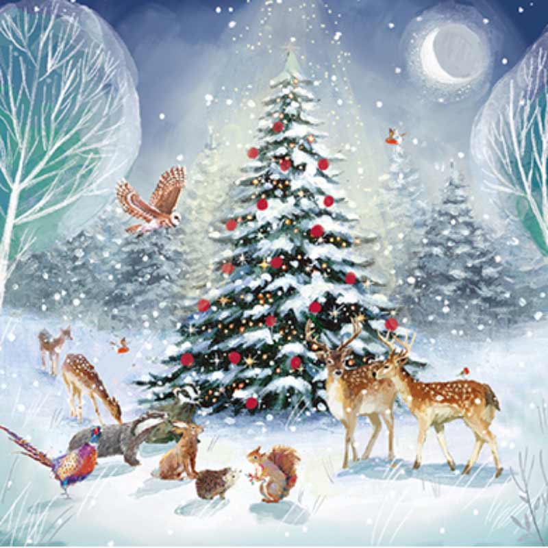 Ling Charity Christmas Cards - Magical Forest (Pack of 6) image 0