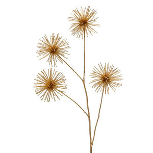 Everlands Gold Allium Spray (85cm) image 0