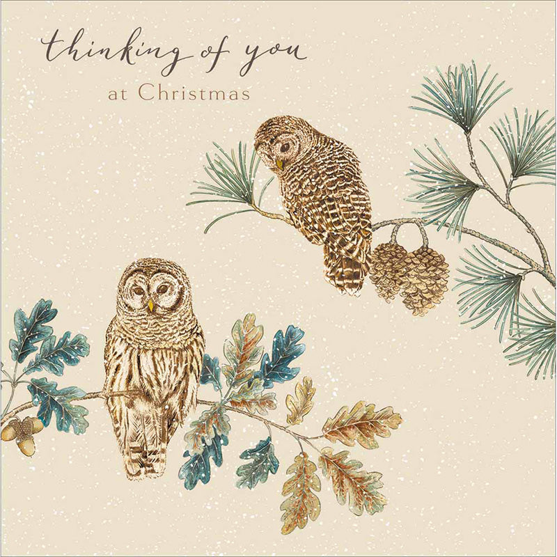 Woodmansterne Thinking of You Owls Christmas Card image 0