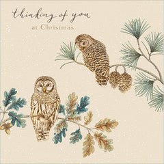 Woodmansterne Thinking of You Owls Christmas Card image 0