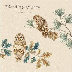 Woodmansterne Thinking of You Owls Christmas Card image 0
