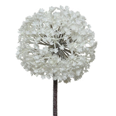 Everlands Frosted White Allium Stem (70cm) image 0