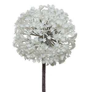 Everlands Frosted White Allium Stem (70cm) image 0