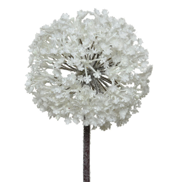 Everlands Frosted White Allium Stem (70cm) image 0