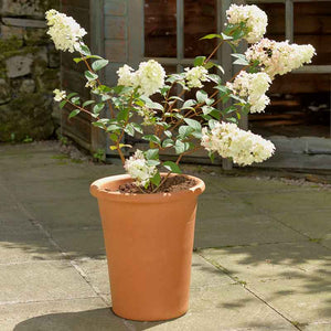 Yorkshire Flowerpots Tall Flowerpot image 1