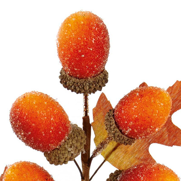 Premier Acorn Pick (Assorted Designs) image 2