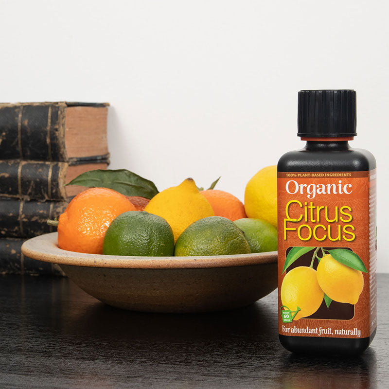 Growth Technology Organic Citrus Focus 300ml image 0
