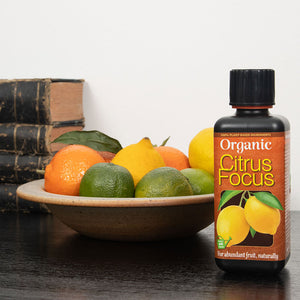 Growth Technology Organic Citrus Focus 300ml image 1