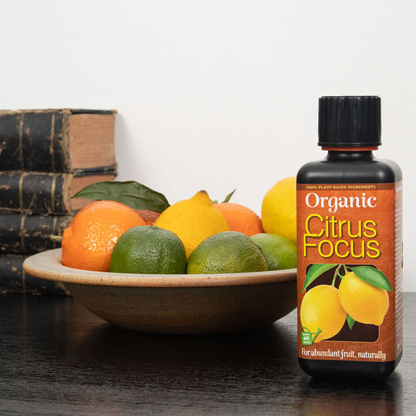 Growth Technology Organic Citrus Focus 300ml image 1