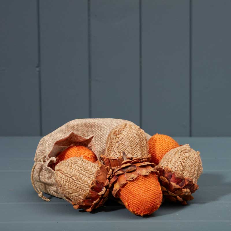 Satchville Bag of Acorns (Set of 6) image 0
