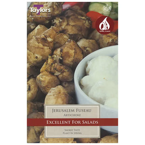 Jerusalem Artichoke Fuseau Tubers image 0