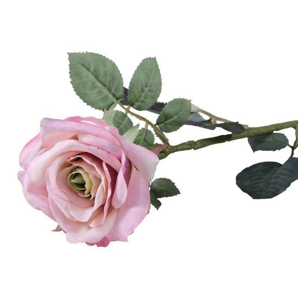 Single Antique Pink Olivia Rose Stem (73cm) image 2