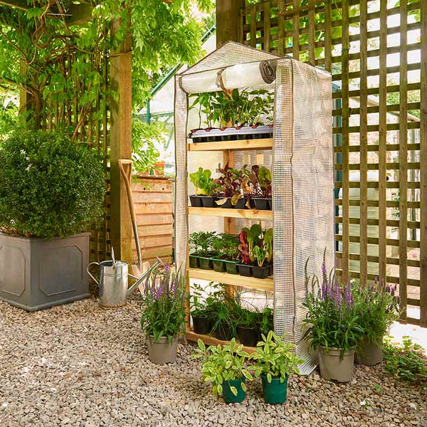 Premium 4 Tier Wooden Growhouse image 4