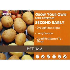 Estima Second Early Seed Potatoes image 0