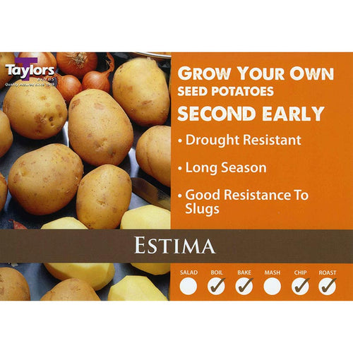 Estima Second Early Seed Potatoes image 0