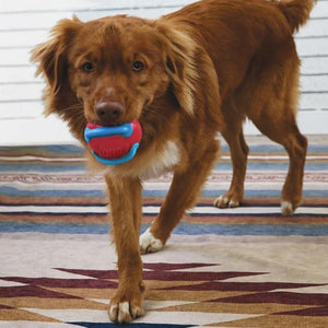 Kong Jaxx Brights Ball (Assorted Designs) image 2