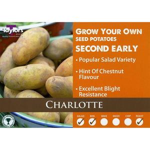 Charlotte Second Early Seed Potatoes - 2kg image