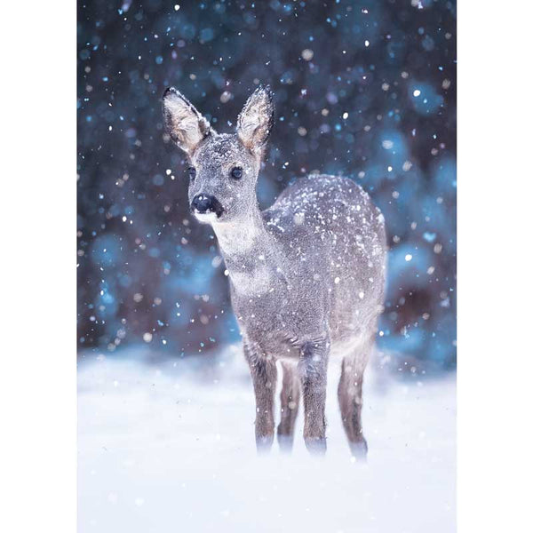 Ling Design Big Value Box - Christmas Animals (Pack of 24) image 2