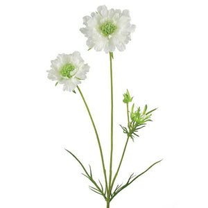 Floralsilk Scabiosa Spray (84cm) - Off-White image
