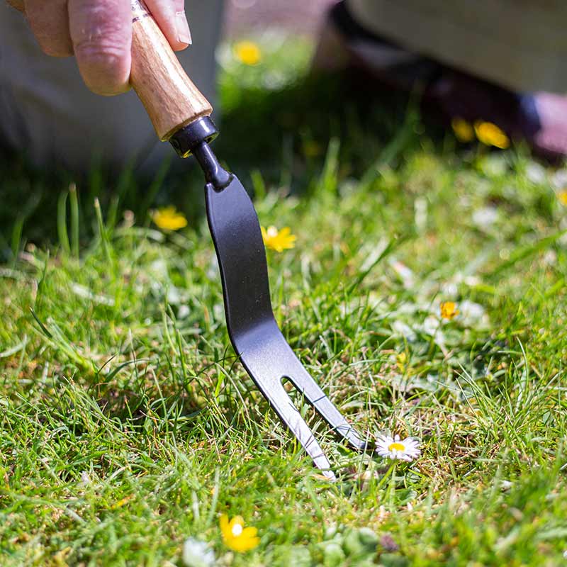 AMES Hand Daisy Grubber Carbon Steel image 0