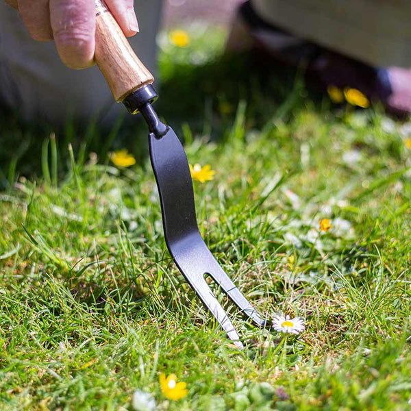 AMES Hand Daisy Grubber Carbon Steel image 1