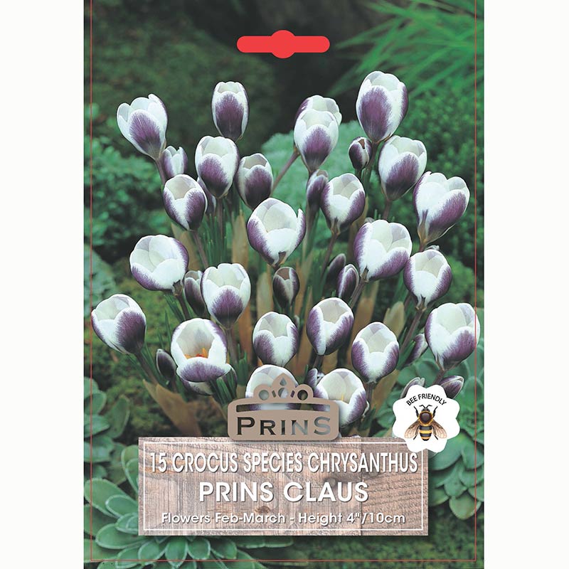 Crocus 'Prins Claus' (15 bulbs)