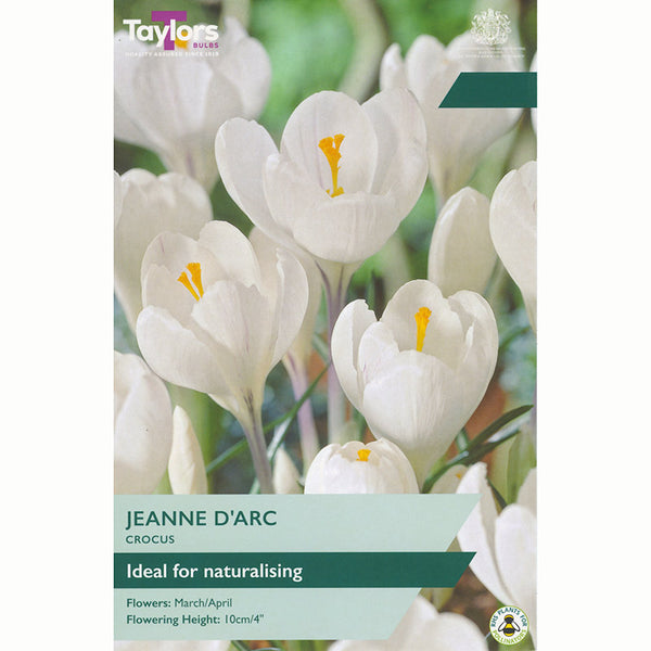 Taylors Crocus Jeanne DArc Bulbs