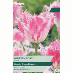 Taylors Tulip Huis Ten Bosch