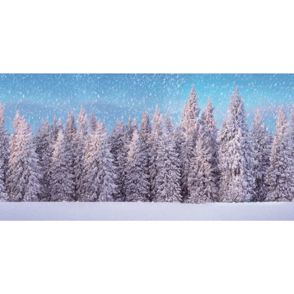 My Village Snow Forest Cloth Background image 1